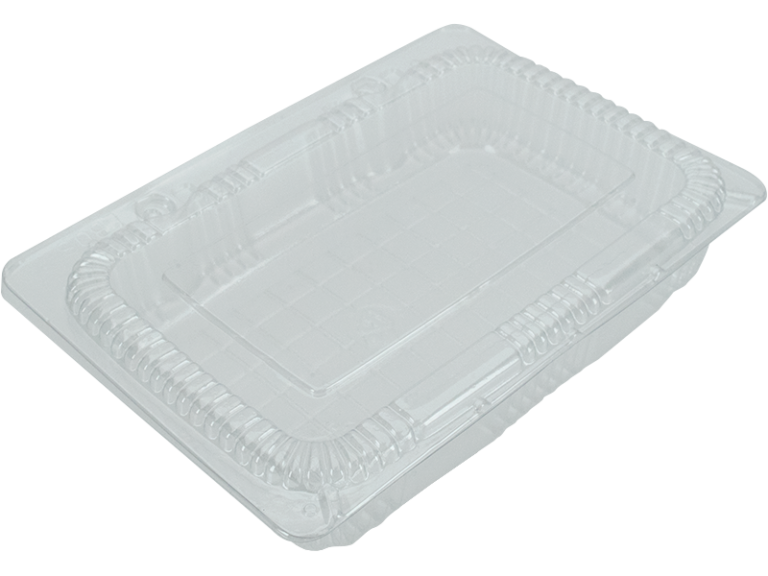 CLAMSHELL Lunch Box Hinged extra shallow