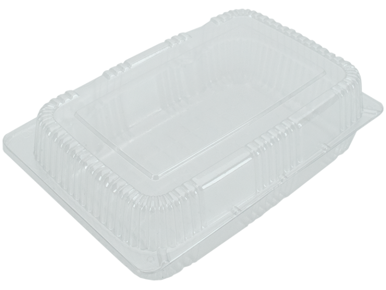 CLAMSHELL Lunch Box Hinged  Medium