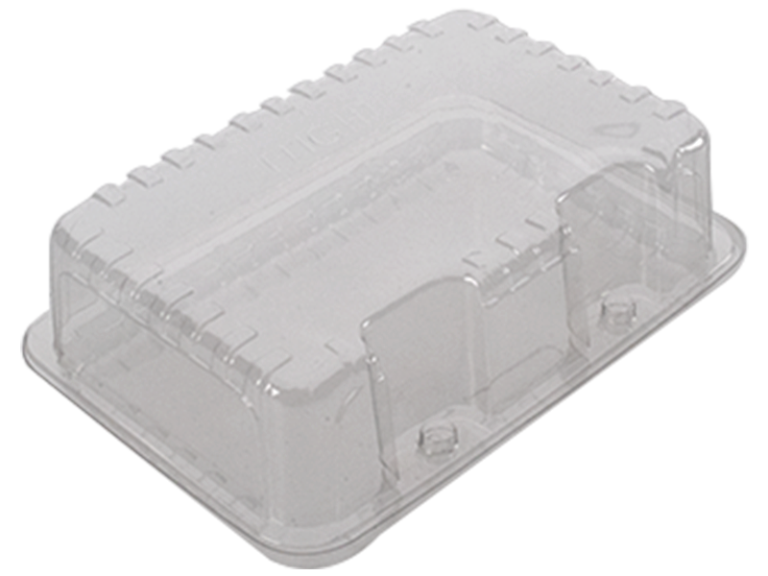 CLAMSHELL LUNCH BOX SHALLOW