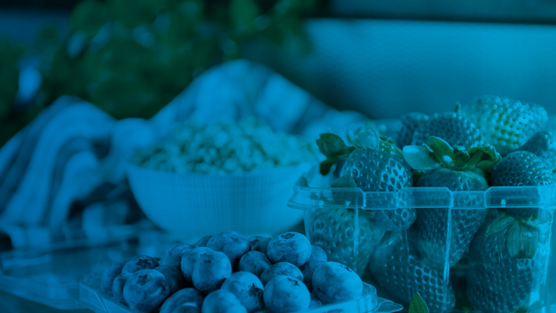 pactpackaging banner_blue filter